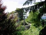 Falkenstein Burgruine verdeckt