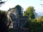 Falkenstein Burg