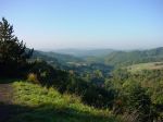 Falkenstein Blick ins Tal